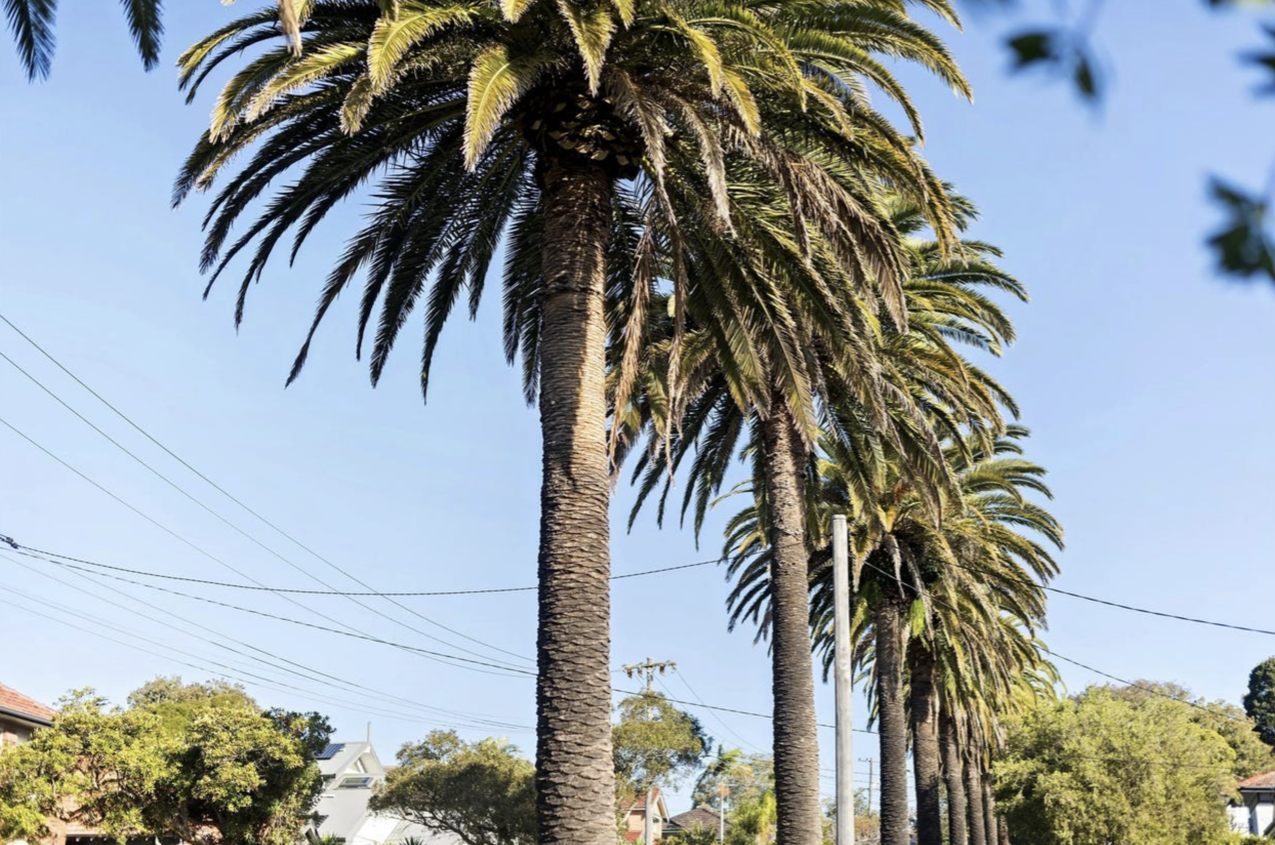 Screenshot 2026-03-31 at 5.44.43 pm