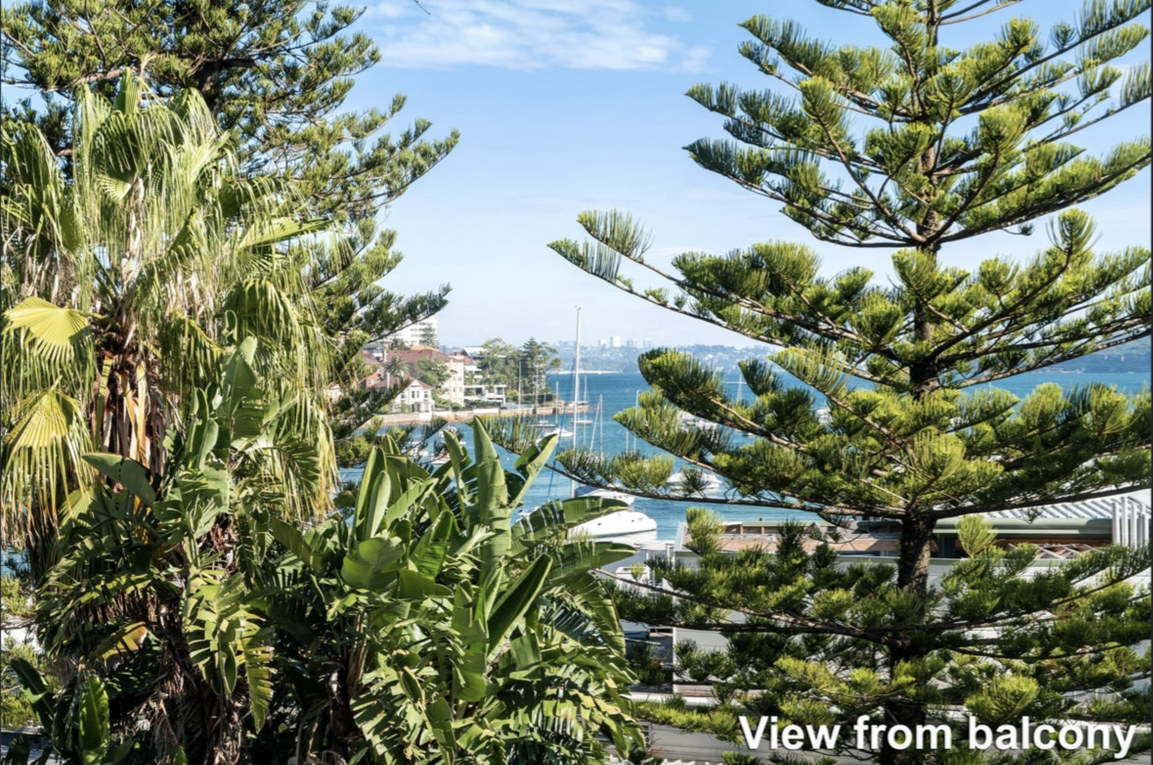 View from a balcony looking out over a marina with boats, water and a distant city skyline, framed by lush tropical trees in the foreground