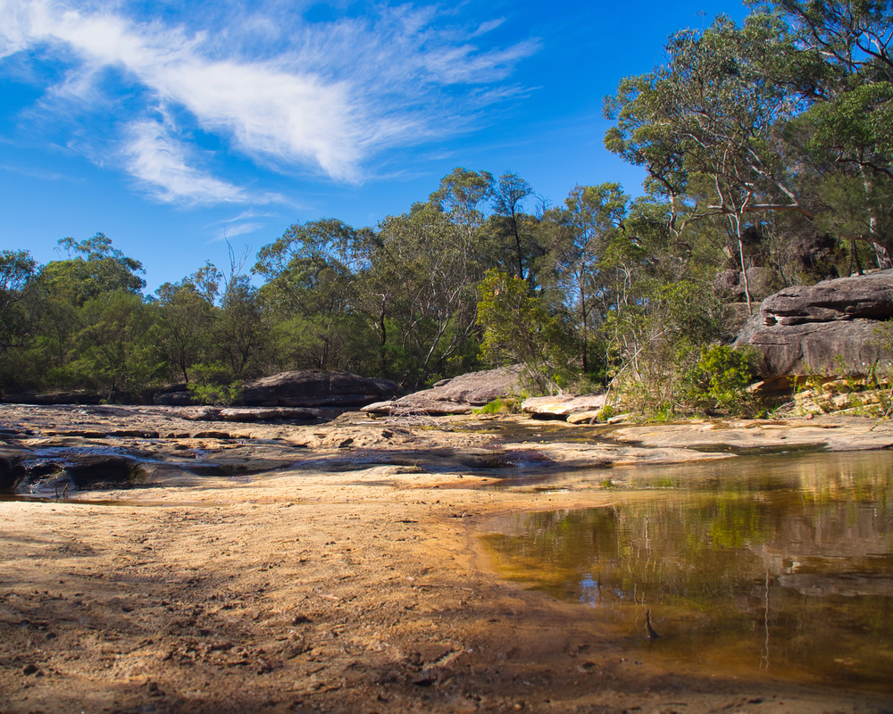 Shallow water pools on a sandy riverbank with trees, rocks, and blue sky in Garigal National Park.